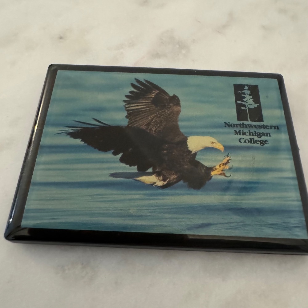 Sierra Club Northwestern Michigan College Eagle‎ Photo Art Recycled